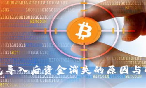 : TP钱包导入后资金消失的原因与解决方案