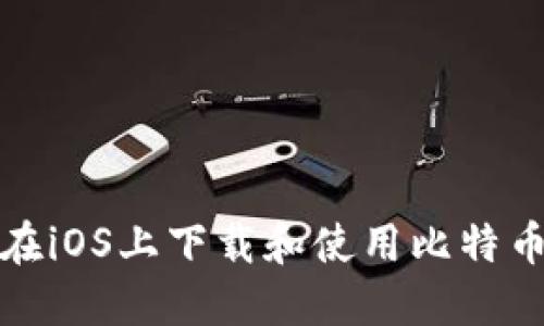 如何在iOS上下载和使用比特币钱包
