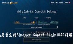 TP桌面版钱包是否支持Binance Smart Chain（BSC）？解
