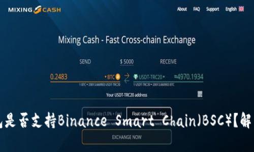 TP桌面版钱包是否支持Binance Smart Chain（BSC）？解析与使用指南