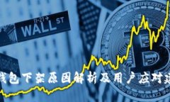 TP钱包下架原因解析及用户