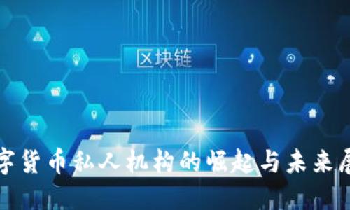 数字货币私人机构的崛起与未来展望