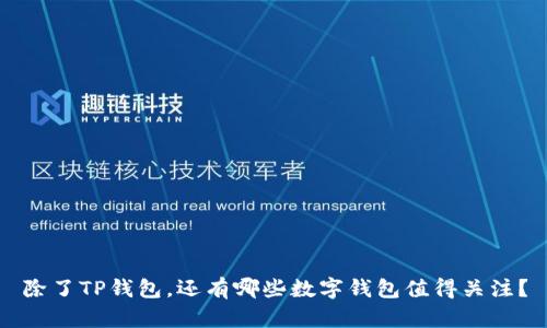 除了TP钱包，还有哪些数字钱包值得关注？