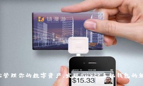 轻松管理你的数字资产，发现Burst手机钱包的魅力！