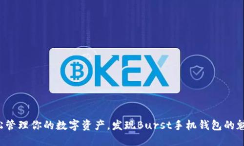 轻松管理你的数字资产，发现Burst手机钱包的魅力！