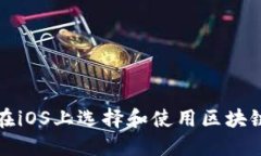 如何在iOS上选择和使用区