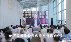 如何选择适合的比特币钱包大小？