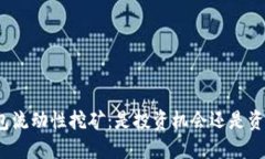 TP钱包流动性挖矿：是投资机会还是资金盘？