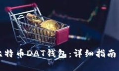 如何恢复比特币DAT钱包：详细指南与实用技巧