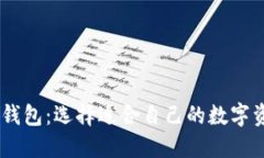 BK钱包与TP钱包：选择适合