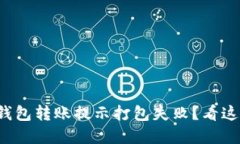 tp钱包转账提示打包失败？