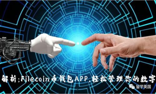 全面解析：Filecoin币钱包APP，轻松管理你的数字资产