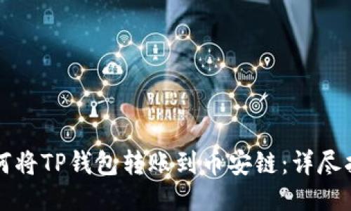 如何将TP钱包转账到币安链：详尽指南
