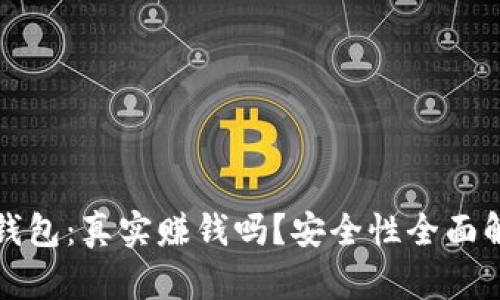 TP钱包：真实赚钱吗？安全性全面解析