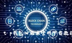 : t p钱包旧版本官网下载教