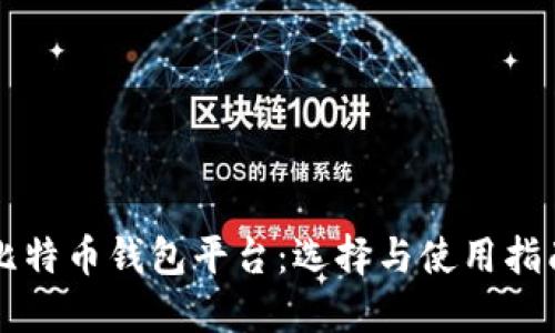 比特币钱包平台：选择与使用指南