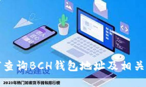如何查询BCH钱包地址及相关信息