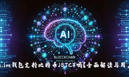 Token.im钱包支持比特币（BTC）吗？全面解读与用户指南