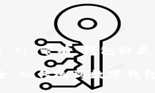 biao ti/biao ti 带有