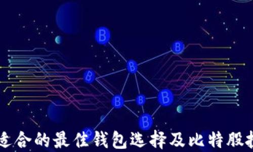 
巨蟹座适合的最佳钱包选择及比特股投资指南