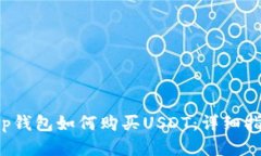 t p钱包如何购买USDT：详细指南