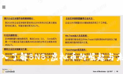 深入了解BNB：虚拟币的崛起与未来