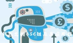 TP钱包支持BSC链及其应用指