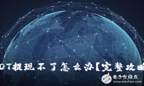 : TP钱包里的USDT提现不了怎么办？完整攻略与常见问题汇总